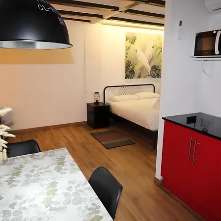 Increible Con Terraza Al Lado De Torres De Quart 公寓 *